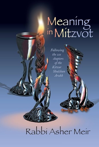 [7815839] Meaning in the Mitzvot 2 Volume Set