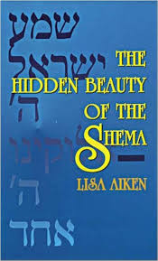 [6260] Used Copy | HIDDEN BEAUTY OF THE SHEMA