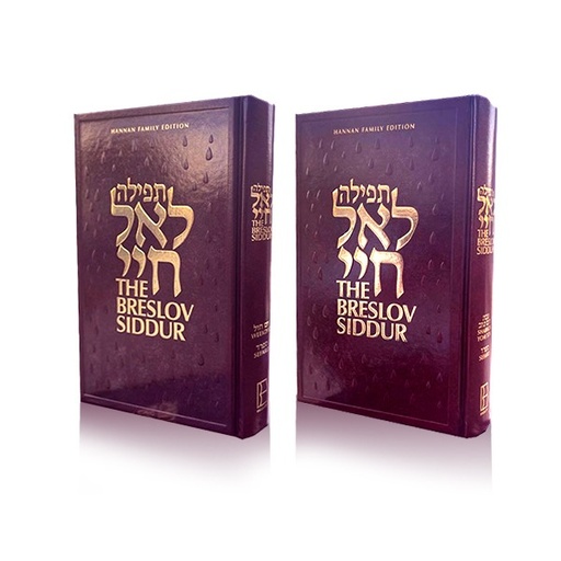 [6876] BROWN / BRESLOV SIDDUR SET
