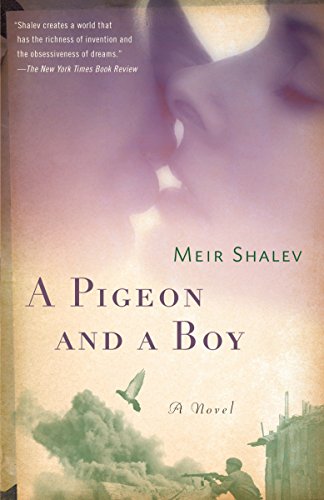 [9780805212143] A Pigeon and a Boy: A Novel