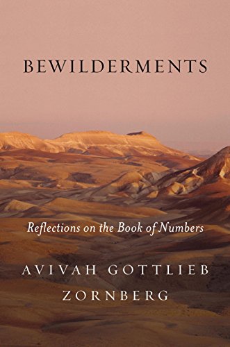 [9780805243048] Bewilderments: Reflections on the Book of Numbers