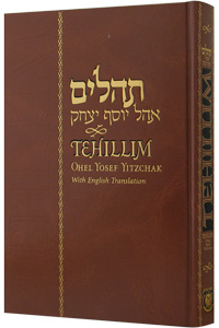 [9780826602794] Tehillim - With English Translation | Ohel Yosef Edition | Large