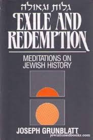 [9780881251357] Exile and Redemption: Meditations on Jewish History | Soft Cover
