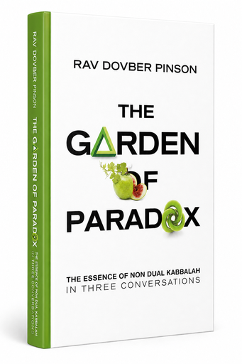 [9780985201135] The Garden of Paradox | DovBer Pinson