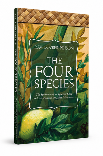 [9780985201142] Out of Print | The Four Species: The Symbolism of the Lulav & Esrog and Intentions for the Lulav Movements | DovBer Pinson