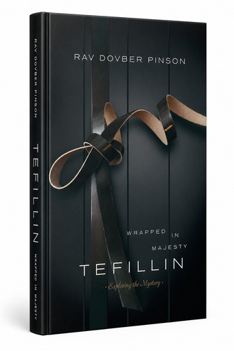 [9780985201180] Tefillin - Wrapped in Majesty | DovBer Pinson