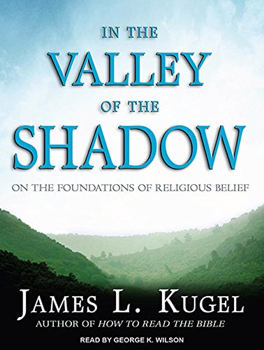 [9781452650487] In the Valley of the Shadow: On the Foundations of Religious Belief