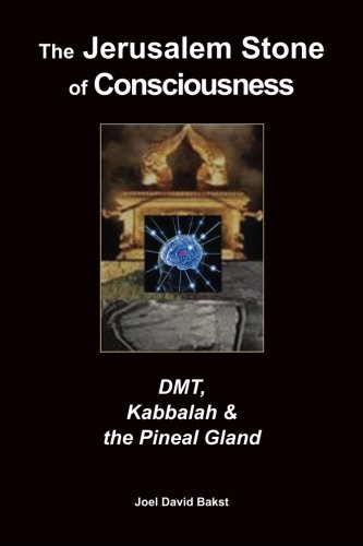 [9781489543776] The Jerusalem Stone of Consciousness: DMT, Kabbalah and the Pineal Gland