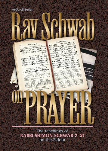 [9781578195121] Rav Schwab on Prayer