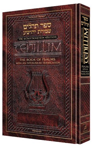 [9781578195602] Tehillim - Psalms | Pocket | Softcover | Interlinear Translation