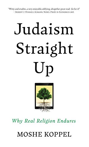 [9781592645572] Judaism Straight Up