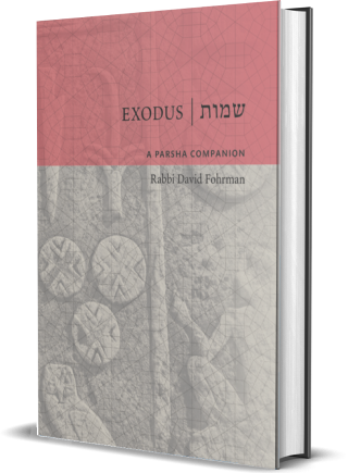 [9781592645671] Exodus: A Parsha Companion | Rav David Fohrman