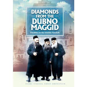 [9781600913280] Diamonds from the Dubno Maggid