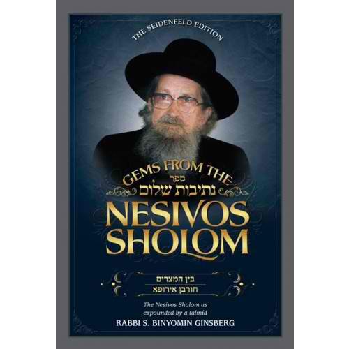 [9781600915321] Gems from the Nesivos Sholom-Three Weeks and the Holocaust