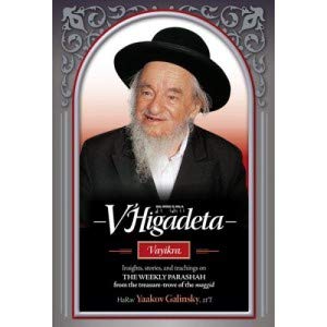 [9781600916571] V'Higadeta - Vayikra