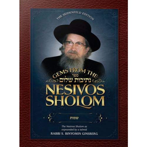[9781600917530] Gems from the Nesivos Sholom: Vayikra
