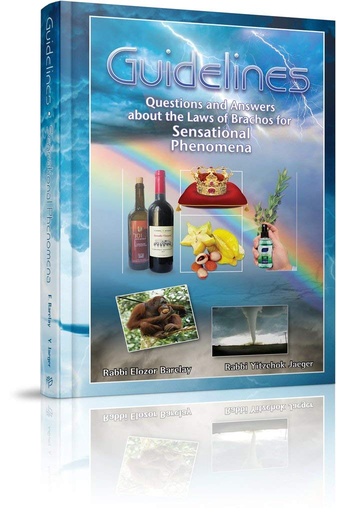 [9781614654551] Guidelines Sensational Phenomena