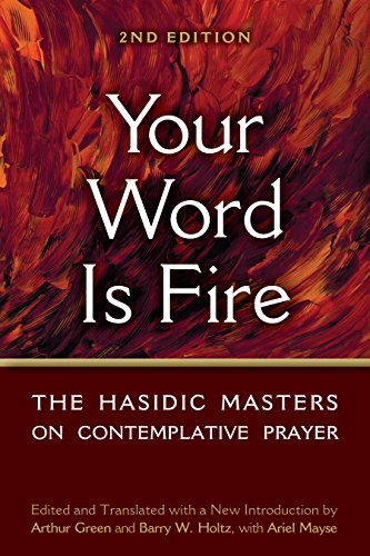 [9781683366706] Your Word is Fire: The Hasidic Masters on Contemplative Prayer