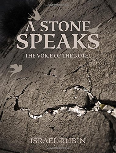 [9781937887339] A Stone Speaks