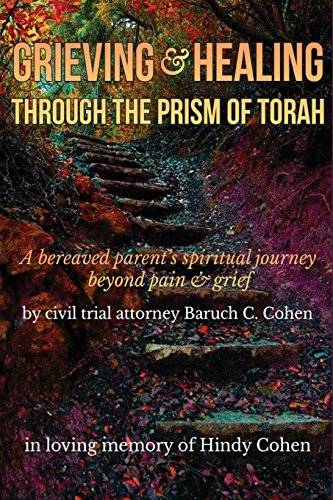 [9781981710676] Grieving and Healing: A bereaved parent's spiritual journey beyond pain & grief - in loving memory of Hindy Cohen