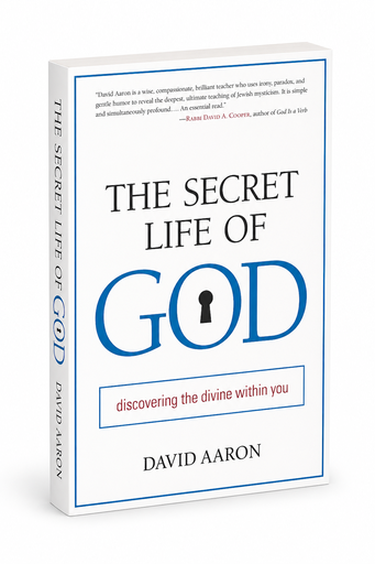 [9789657646144] Secret Life of God: Discovering the Divine Within You | Rabbi David Aaron