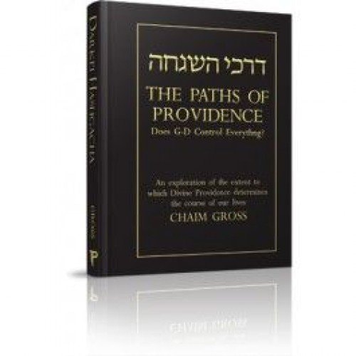 [9781568715919] The Paths of Providence Does G-d Control Everything?