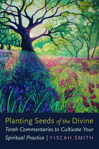 [9780827615717] Planting Seeds of the Divine: Torah Commentaries to Cultivate Your Spiritual Practice