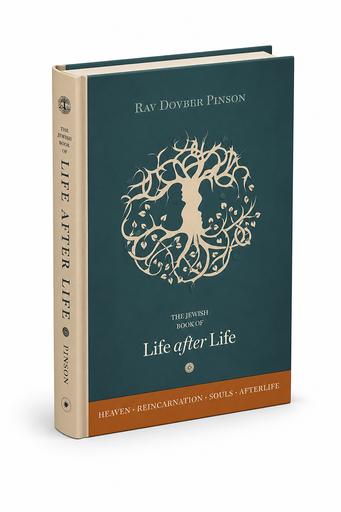 [‎9780991472000] ‎The Book of Life After Life | Rav Dovber Pinson