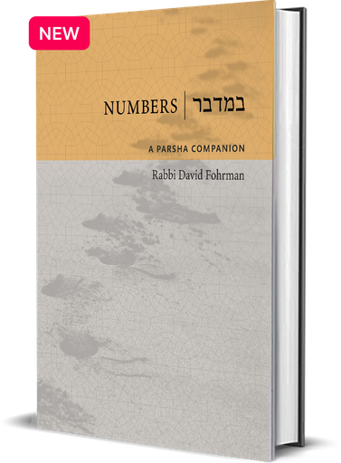 [9781592646982] Numbers: A Parsha Companion By Rabbi David Fohrman