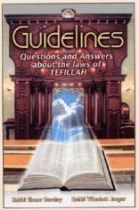 [9781568713441] Guidelines: Questions & Answers about the Laws of Tefillah