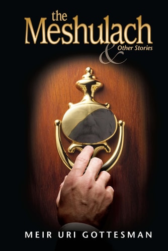 [9781600911828] The Meshulach & other stories