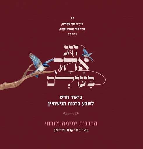זוג אחד בעולם - ביאור חדש לשבע ברכות הנישואין