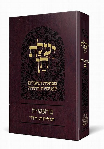 [132010162025] בראשית ב | יעלת חן - מבואות ושערים לפנימיות התורה | סדרת באור פניך