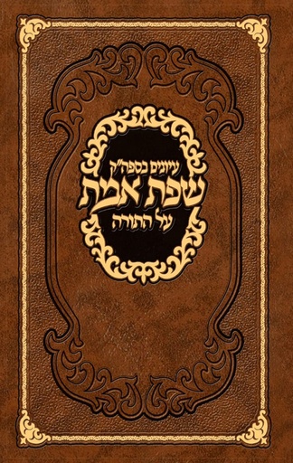 [9789655320879] עיונים בספה"ק שפת אמת