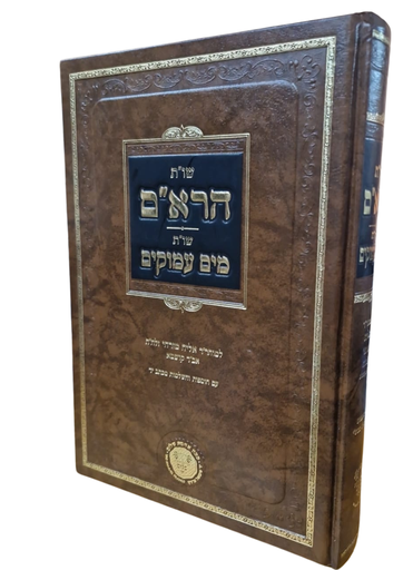 [202526111745] שו"ת הרא"ם | שו"ת מים עמוקים