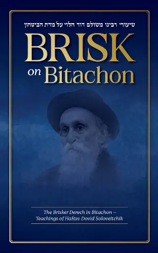 [9781607634430] Brisk on Bitachon