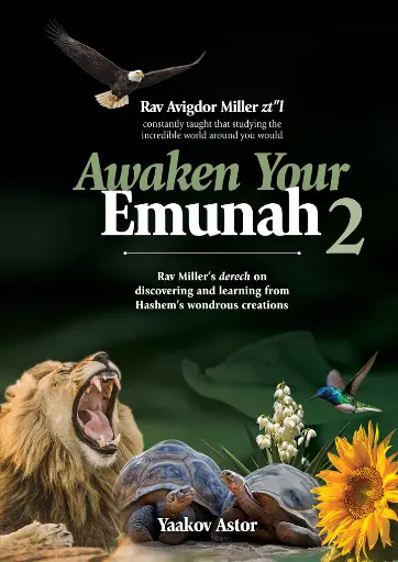 [9781607634270] Awaken Your Emunah 2