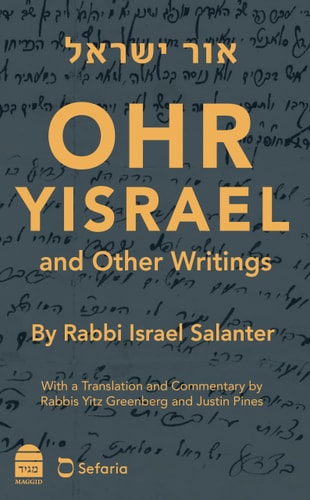 [9781592646517] Ohr Yisrael and Other Writings