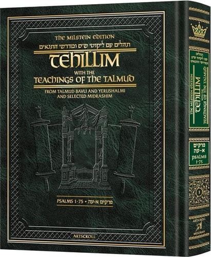 [9781422645963] Tehillim Volume 1 | With the Teachings of the Talmud | Psalms 1-72