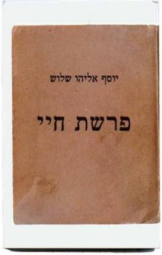 [04620313] פרשת חיי | יוסף אליהו שלוש