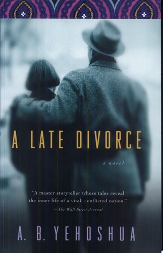 [9780156494472] A Late Divorce