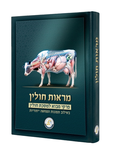 [1322170422026] מראות חולין - פרקי מבוא למסכת חולין |  בשילוב תמונות המחשה ייחודיות 