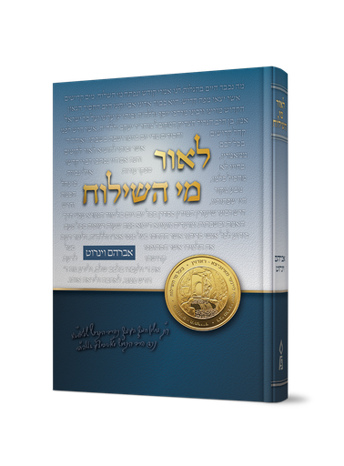 [240220265555555] לאור מי השילוח | עיונים בפרשת השבוע