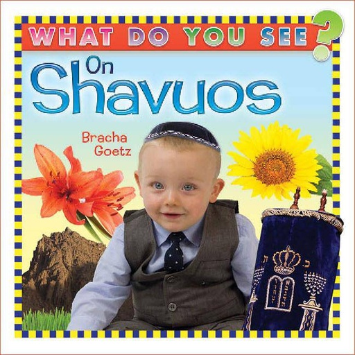 [9781607631897] What Do You See on Shavuos?